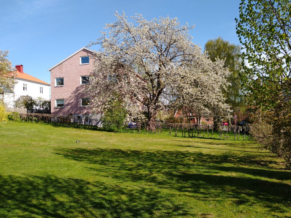 Från norr